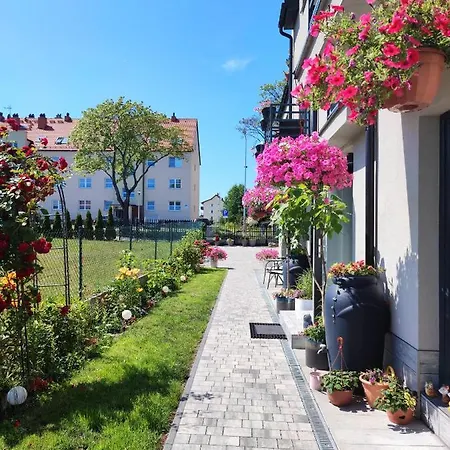 4 Foxes 乌斯特卡