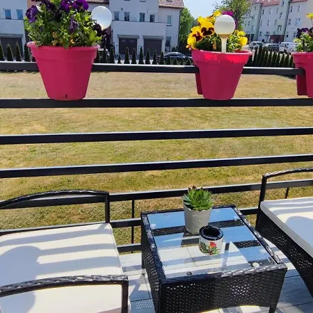 招待所 4 Foxes 3*