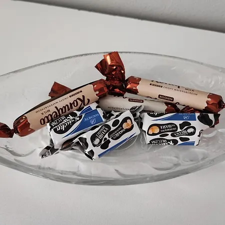 Gæstehus 4 Foxes