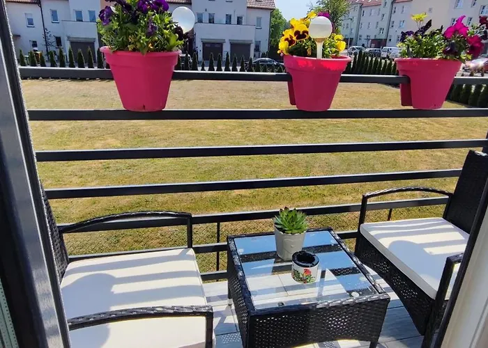 Guest house 4 Foxes 3*