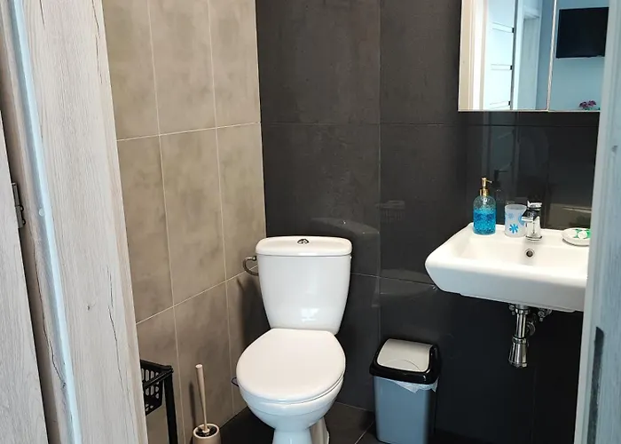 Guest house 4 Foxes 3*